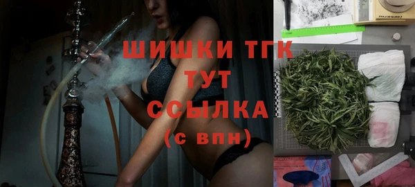 молекула духа Каменногорск