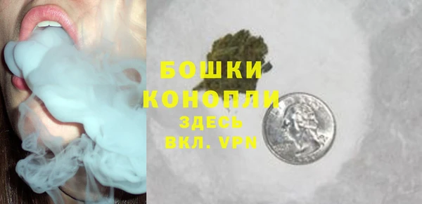 молекула духа Каменногорск