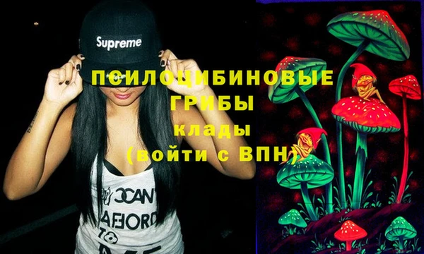 молекула духа Каменногорск