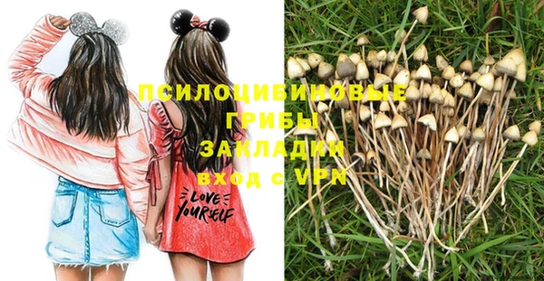 apvp Каменск-Шахтинский