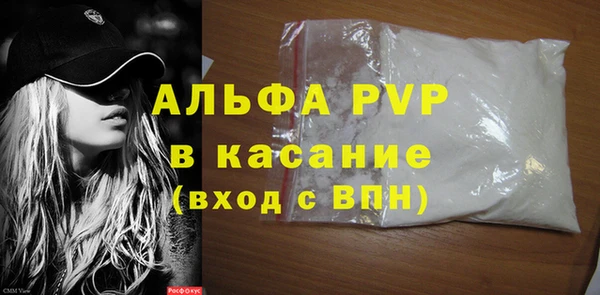 молекула духа Каменногорск