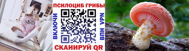 Купить где  Богучар  Галлюциногенные грибы мицелий 
