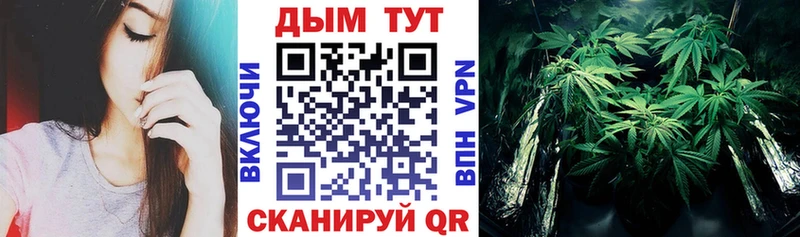 Бошки марихуана SATIVA & INDICA  Купить закладки  Богучар 